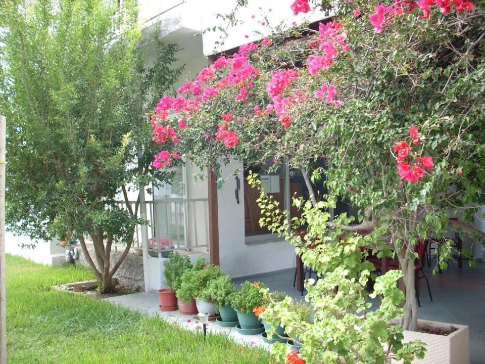 Sea Breeze 2 Apartments 马斯蒂查里 外观 照片